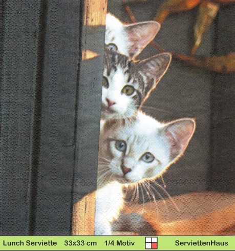 Drei neugierige Katzen hinter einer Tür - 1 Lunch Serviette